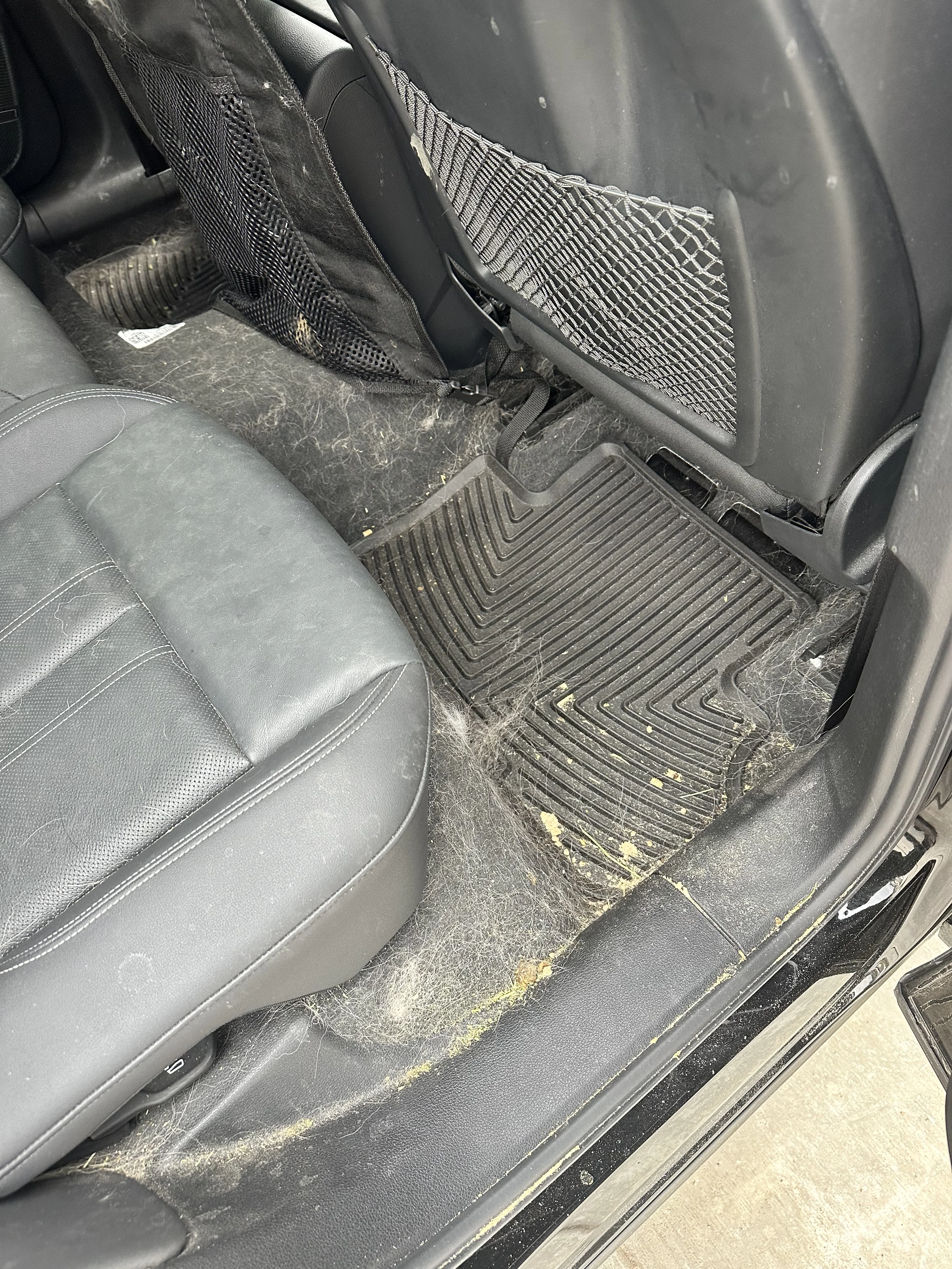 Detailing photo
