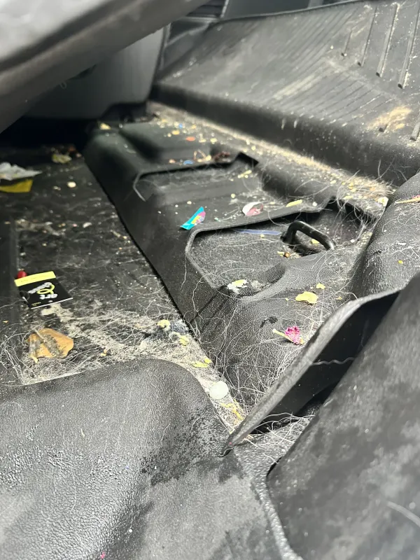 Detailing photo
